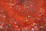 Polished, Red (Chestnut) Jasper Slab - Madagascar #129884-1